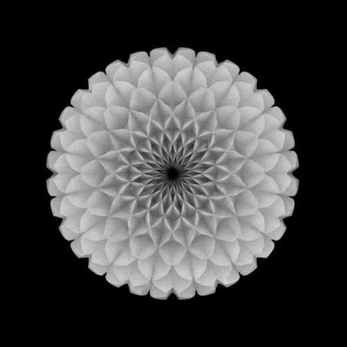 2e1806fe5ec324163815d46ef5c51df1.gif